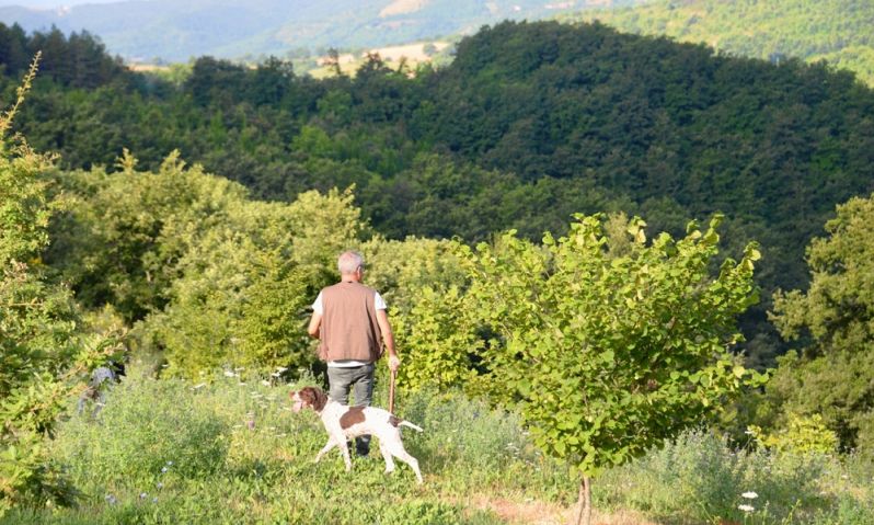 Pietralunga_ricerca tartufo