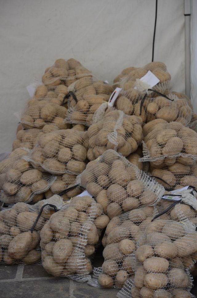 patata pietralunga