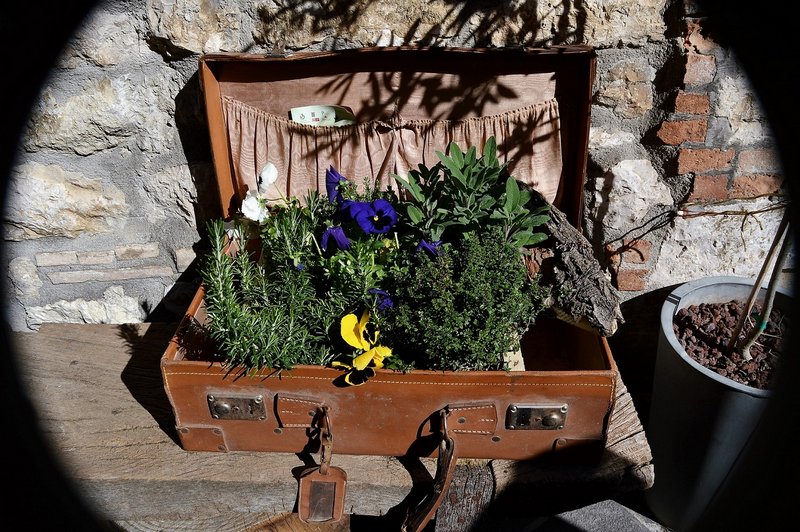 orti fioriti 2018_2
