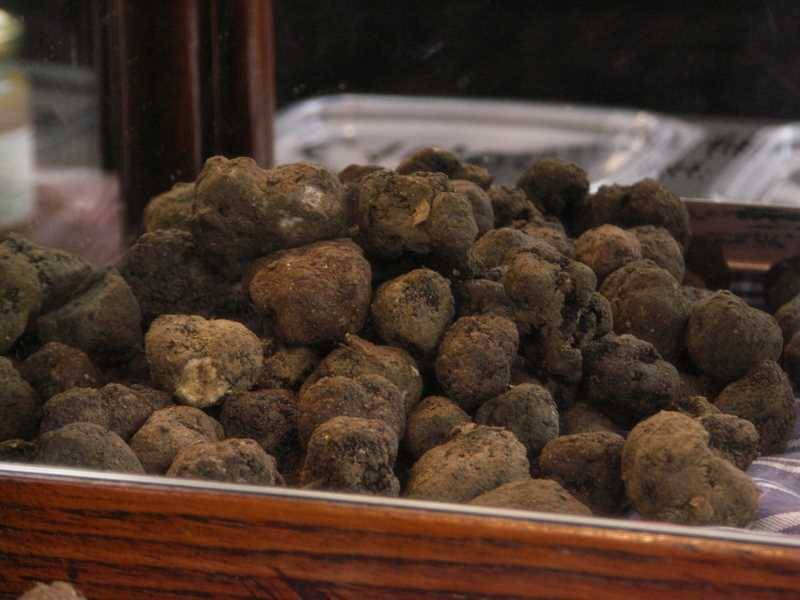 Mostra Mercato del Tartufo Nero di Norcia tartufi_di_norcia_mostra_mercato