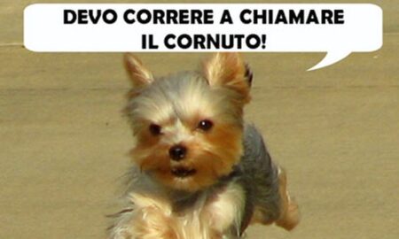 L’ CANE SPIONE CANE SPIONE