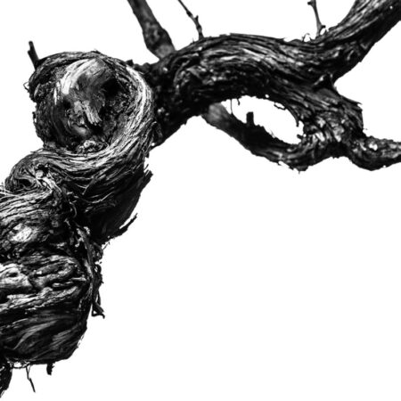 ORIGO | Mostra Fotografica di Pier Paolo Metelli Mostra Origo