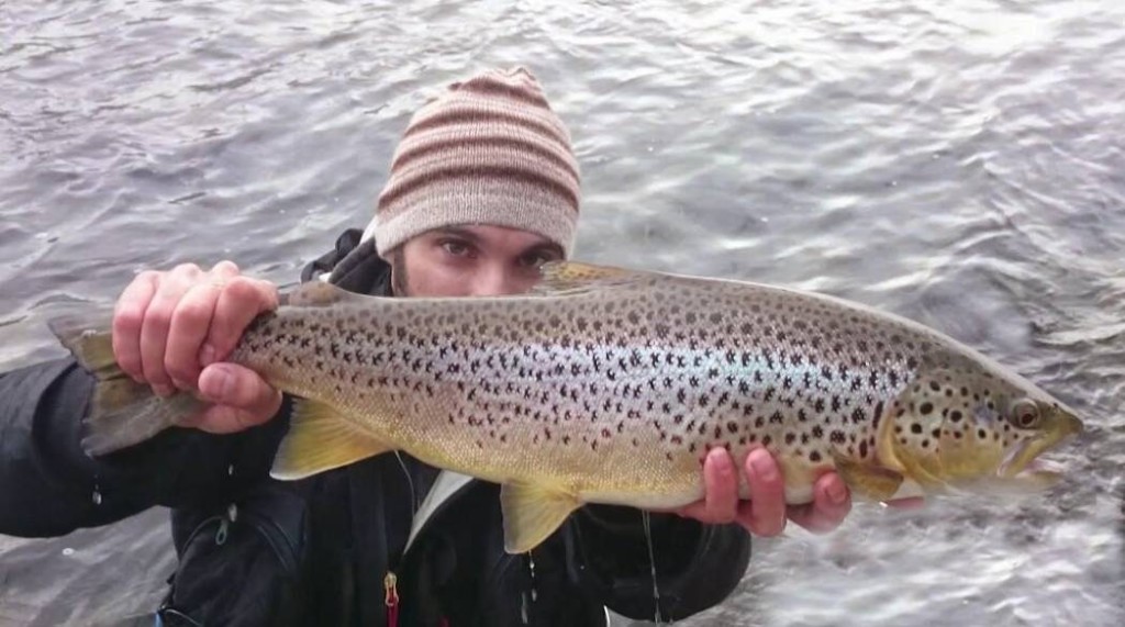 Violenza ittica: adè te schiaffeggio co ‘na trota