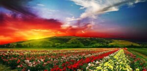 Depressione? La Teoria dell’Inverosimile, la mia cura