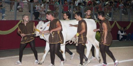 Fuga del Bove, fervono i preparativi per la corsa dei bovi