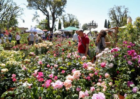 PERUGIA FLOWER SHOW – WINTER EDITION 17/18 Settembre 2016