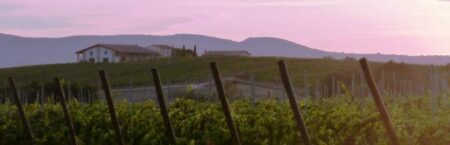 Le Cimate di Montefalco ospitano Drink With