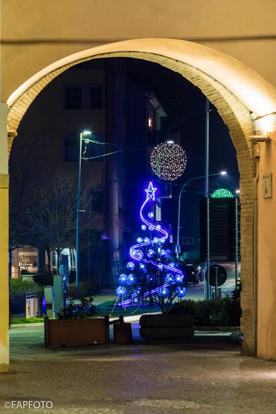 Il Rione Portella si aggiudica la prima edizione del Concorso Alberi Artistici